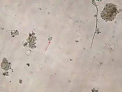 蘇州污泥處理公司 蘇州污泥處理公司