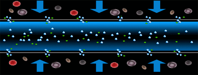 神舟十二號.gif 神舟十二號.gif