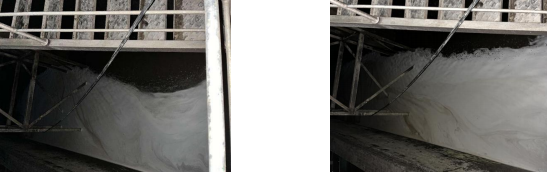 系統黏泥剝離反應 系統黏泥剝離反應