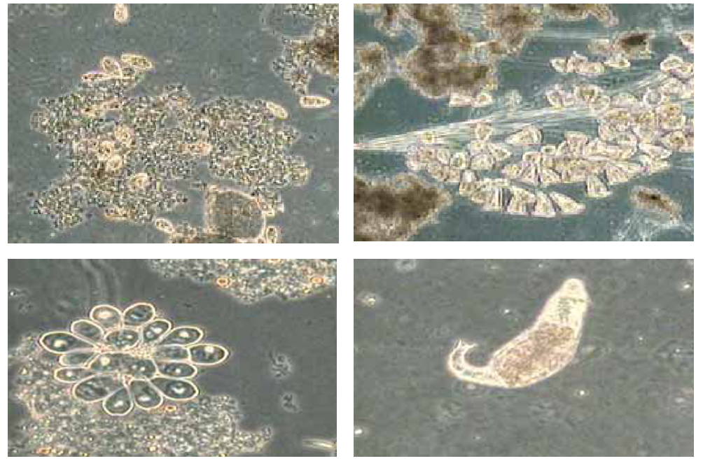 安峰環保.png 安峰環保.png