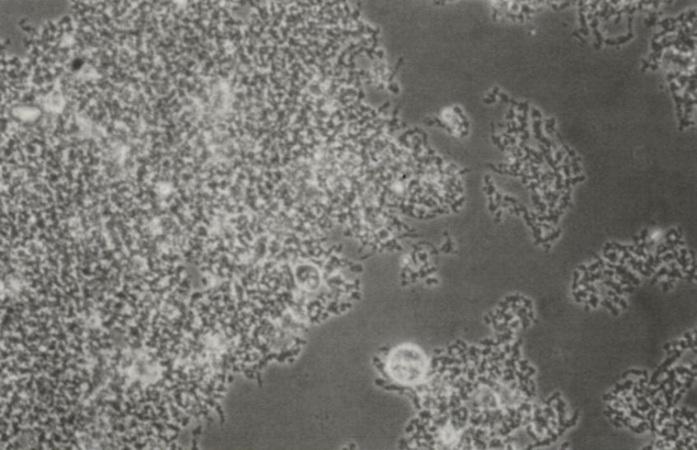 安峰環保.png 安峰環保.png