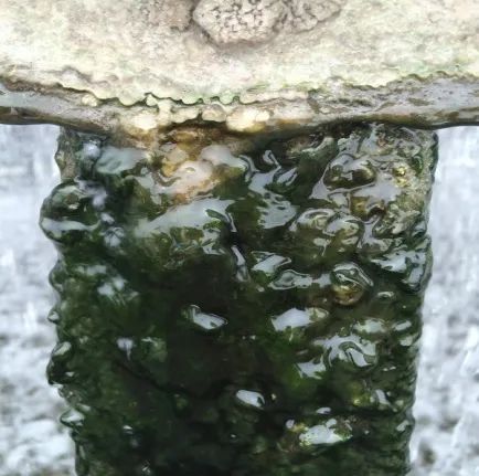 安峰環(huán)保.jpg 安峰環(huán)保.jpg