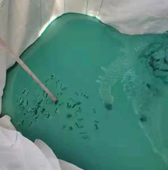 蒸發器實際出渣效果.jpg 蒸發器實際出渣效果.jpg